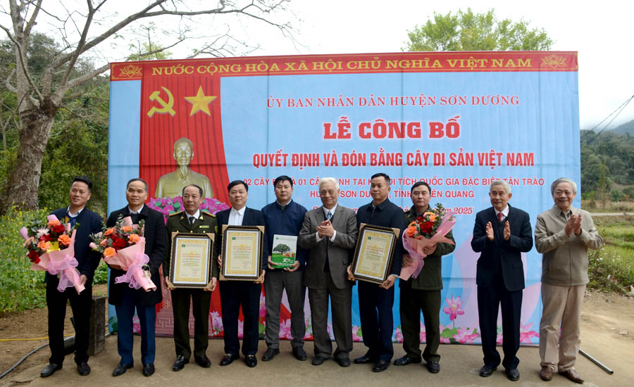 TS.[-]Nguyễn[-]Ngọc[-]Sinh,[-]Chủ[-]tịch[-]Hội[-]Bảo[-]vệ[-]Thiên[-]nhiên[-]và[-]Môi[-]trường[-]Việt[-]Nam[-]trao[-]bằng[-]công[-]nhận[-]Cây[-]Di[-]sản[-]Việt[-]Nam[-]cho[-]đại[-]diện[-]địa[-]phương[-]
